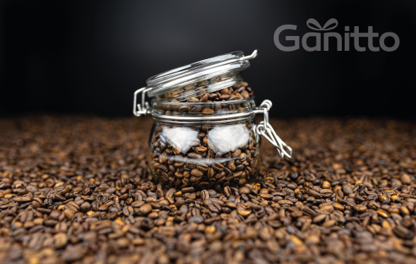 Nitelikli Kahve Nedir? Gerçek Kahve Deneyiminin Sırrı